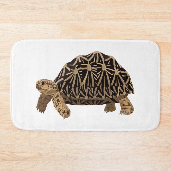 Item preview, Indian Star Tortoise designed and sold by Rie-TortoTurtle.