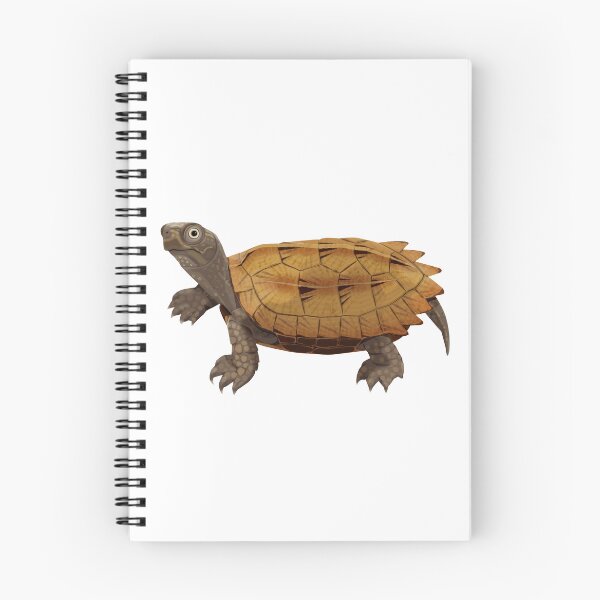 Item preview, Black-breasted Leaf Turtle designed and sold by Rie-TortoTurtle.