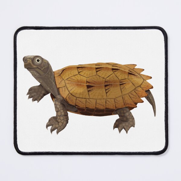 Item preview, Black-breasted Leaf Turtle designed and sold by Rie-TortoTurtle.