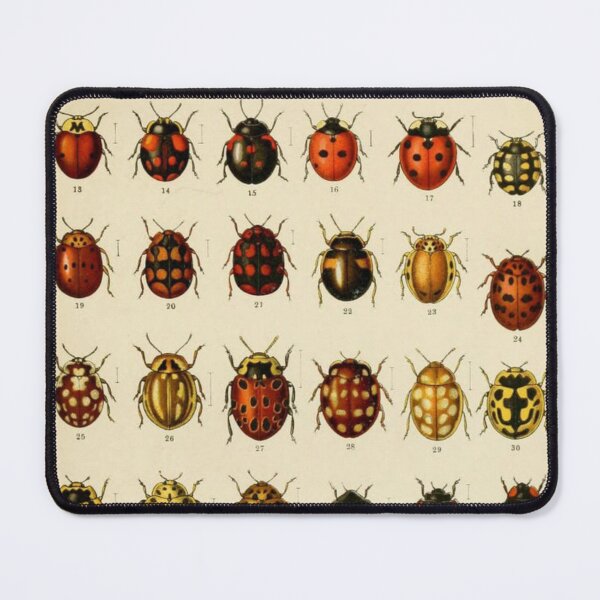 Item preview, Bugs, insects designed and sold by KrisSJ12.
