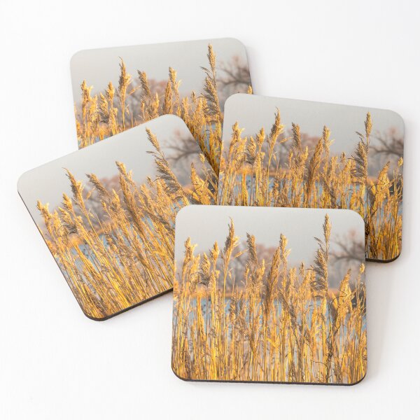 Item preview, Tall Feathery Golden Grass designed and sold by Debra Martz.