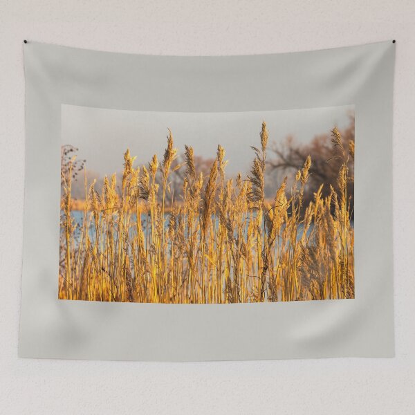 Item preview, Tall Feathery Golden Grass designed and sold by Debra Martz.
