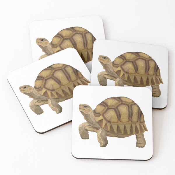 Item preview, Angonoka (Madagascar Ploughshare Tortoise) designed and sold by Rie-TortoTurtle.