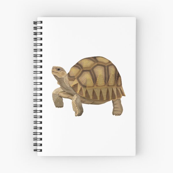 Item preview, Angonoka (Madagascar Ploughshare Tortoise) designed and sold by Rie-TortoTurtle.