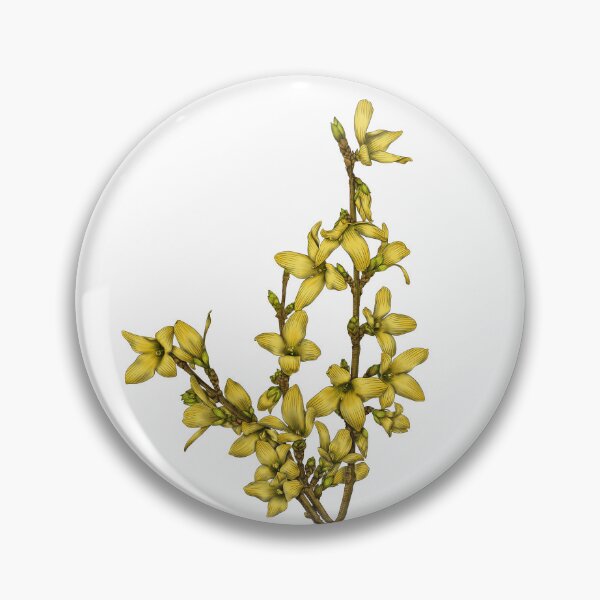 Item preview, Forsythia designed and sold by TasiaZenzura.