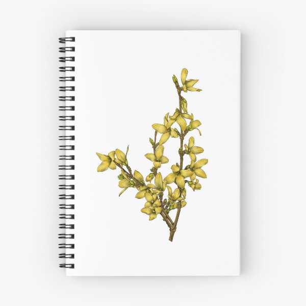 Item preview, Forsythia designed and sold by TasiaZenzura.