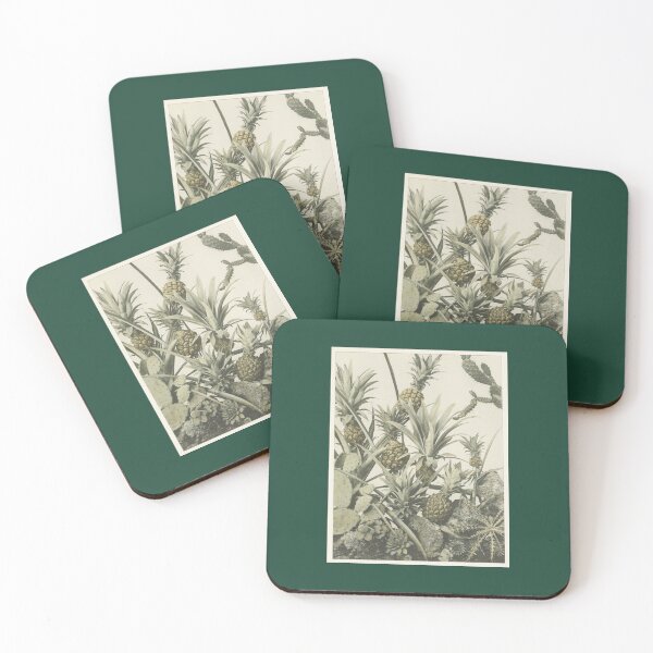 Item preview, Vintage Pineapple and Cactus Photographs designed and sold by beccainskeep.