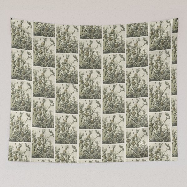 Item preview, Vintage Pineapple and Cactus Photographs designed and sold by beccainskeep.