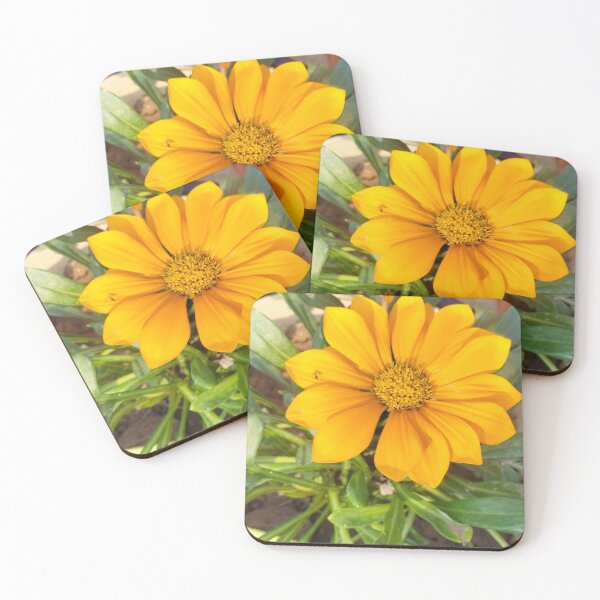 Item preview, Beauty of flowers designed and sold by Priyanka  Rishi.