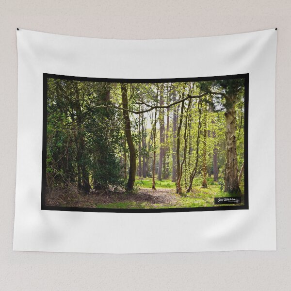 Item preview, Forest Dawn designed and sold by jwhitakerdover.