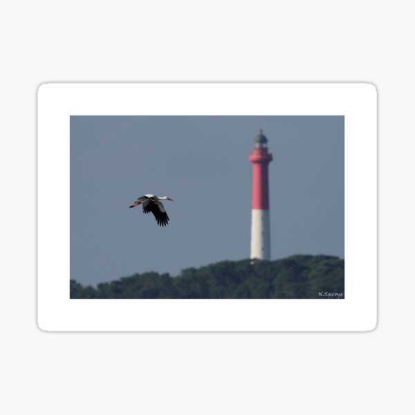 Item preview, La Cigogne et le Phare de la Coubre designed and sold by Nicolas SAVOYE.