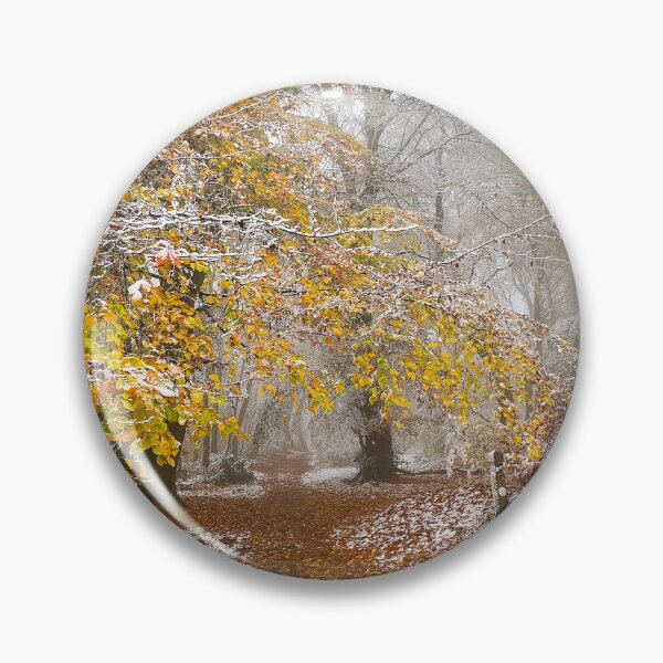 Artikelvorschau, Herbstlicher Cotswold Way entworfen und verkauft von Graz-Photos.