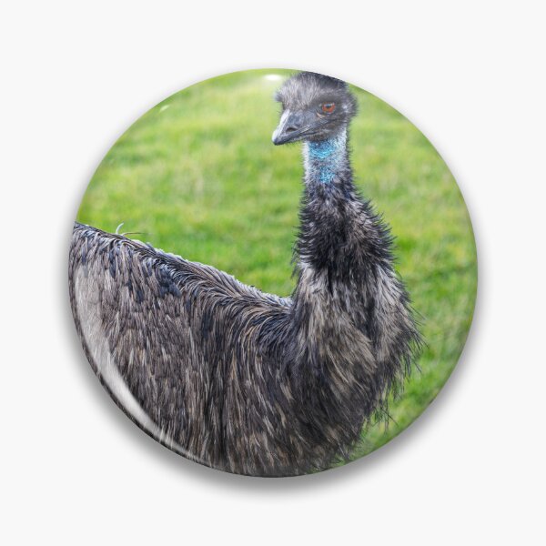 Item preview, Emu Looking At? designed and sold by Paul Thompson Photography.