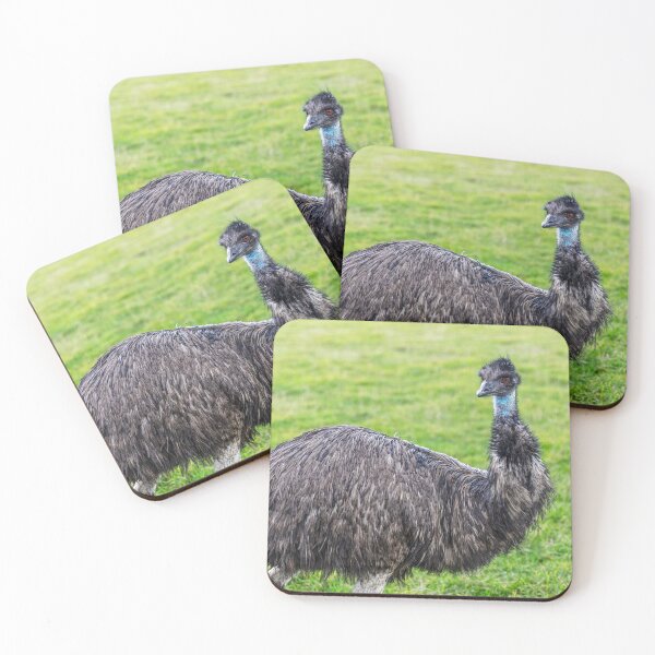 Item preview, Emu Looking At? designed and sold by Paul Thompson Photography.