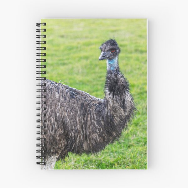 Item preview, Emu Looking At? designed and sold by Paul Thompson Photography.