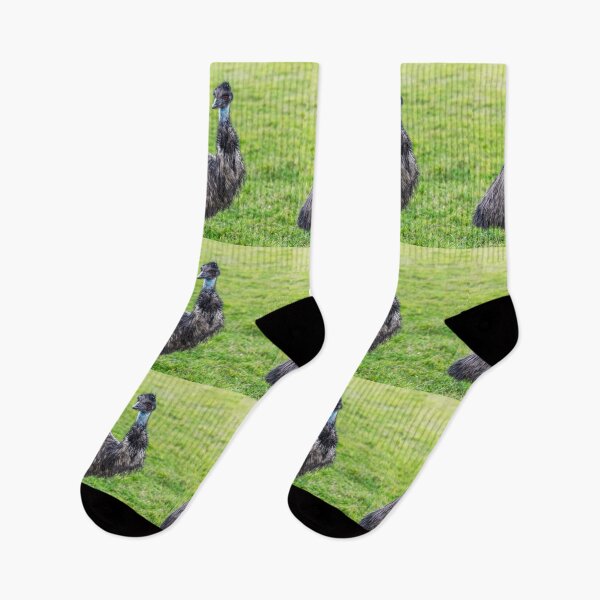 Item preview, Emu Looking At? designed and sold by Paul Thompson Photography.