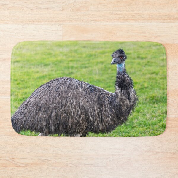 Item preview, Emu Looking At? designed and sold by Paul Thompson Photography.
