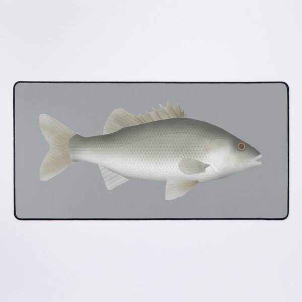 Item preview, Estuary Perch designed and sold by fishfolkart.