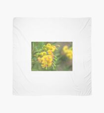 Grevillea Goldrush Scarf