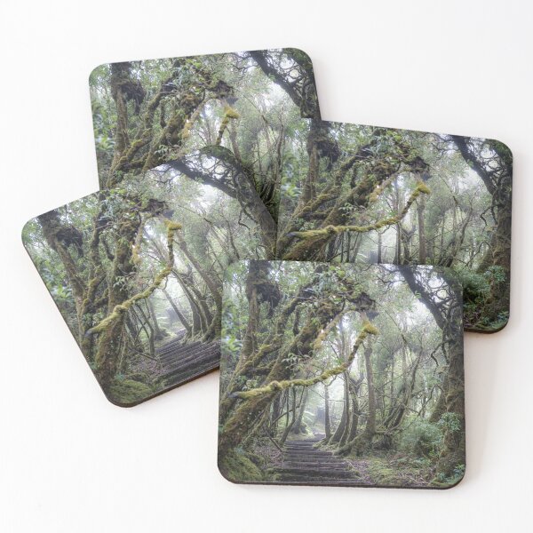 Item preview, Barva Volcano forest, Costa Rica designed and sold by First Light.