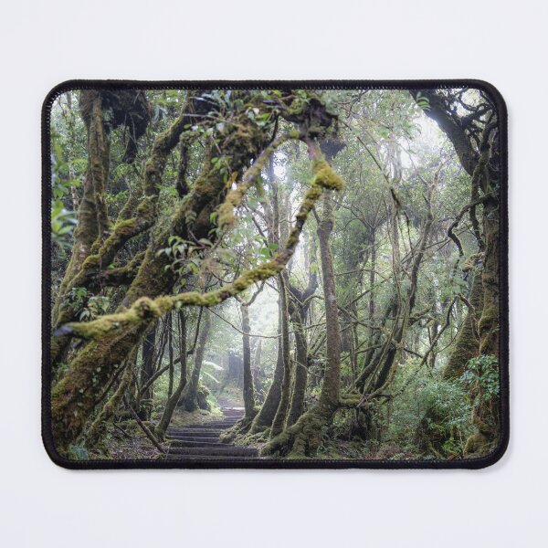 Item preview, Bosque del Volcán Barva, Costa Rica designed and sold by First Light.