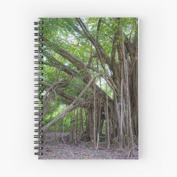 Item preview, Banyan Tree, Uvita, Costa Rica designed and sold by First Light.