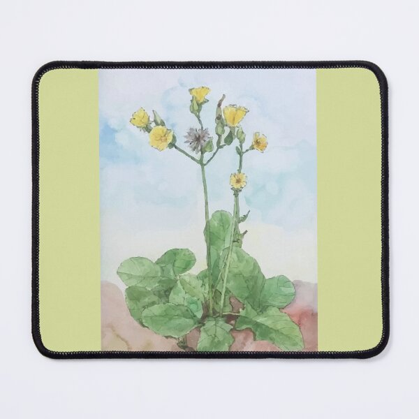 Item preview, Vietnam Botanical Plant Illustration 9 designed and sold by tuyetstudio.