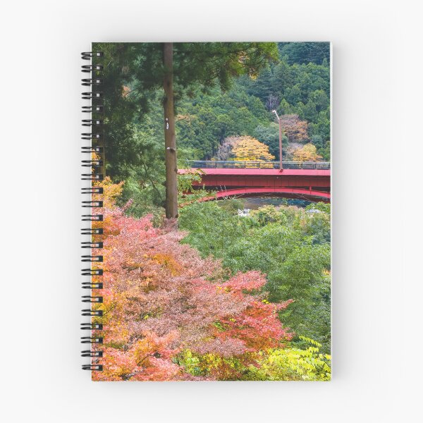 Item preview, Showa Bridge over Tama River in Hikawa Gorge designed and sold by Pix4Japan.