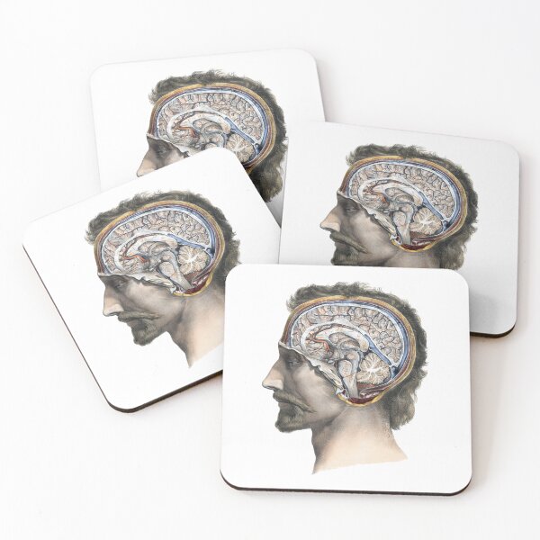 Item preview, Vintage Human Bust Anatomy Illustration, Medical Illustration  designed and sold by HawthorneFlame.