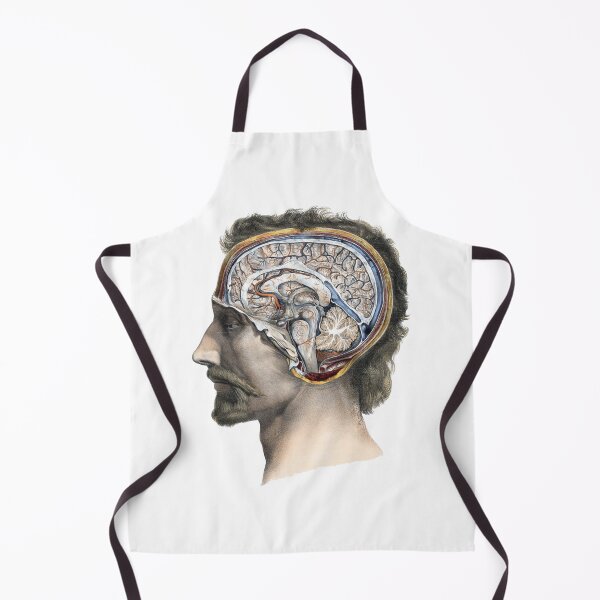 Item preview, Vintage Human Bust Anatomy Illustration, Medical Illustration designed and sold by HawthorneFlame.