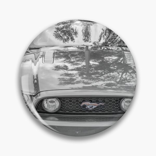 Item preview, 2016 Silver Ford Mustang GT 5-0 Premium X101 designed and sold by RichFrancoCars.