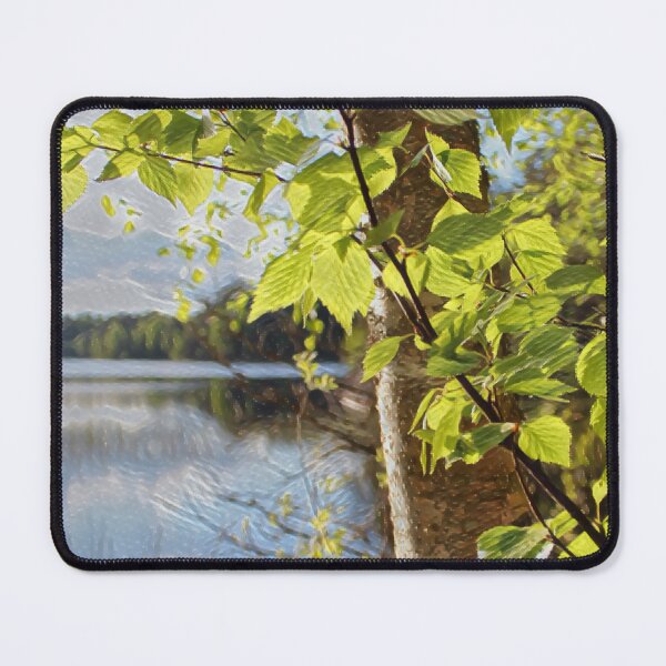 Item preview, Birch on Lakeside - evalaaksart - A piece of Finland designed and sold by evalaaksart.