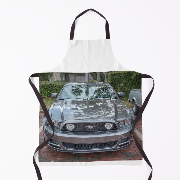Item preview, 2016 Silver Ford Mustang GT 5-0 Premium X103 designed and sold by RichFrancoCars.