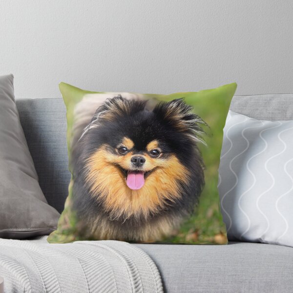 my cute pomeranian dog Throw Pillow