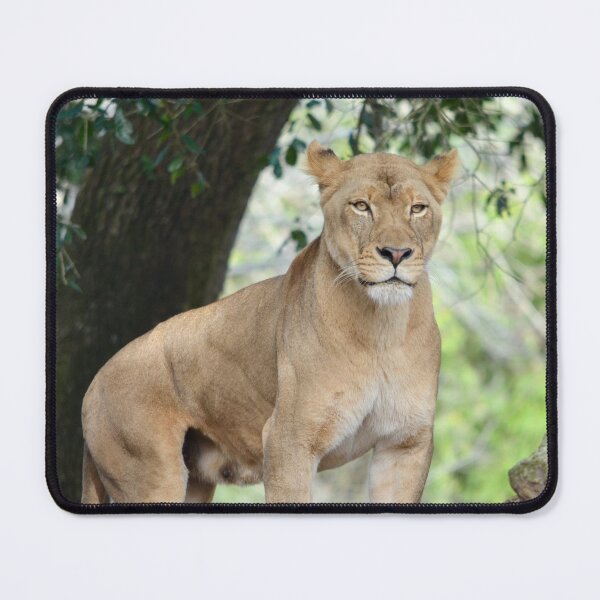 Item preview, Mama Lioness designed and sold by richardbryce.