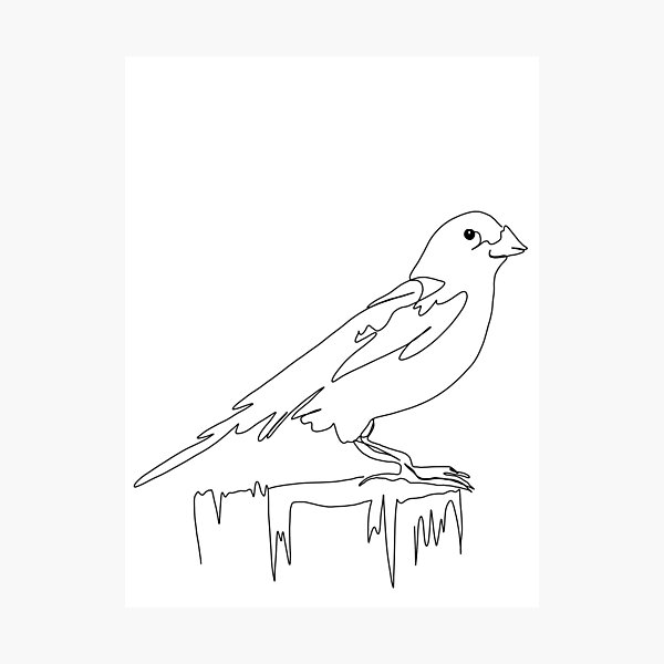 Item preview, Sparrows  designed and sold by Ashley’sAnimalz.
