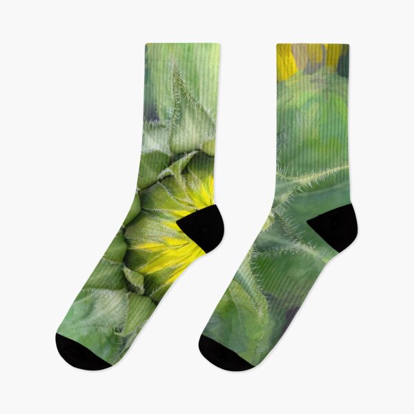 Item preview, Happy Sunflowers Helianthus Abstract X208 designed and sold by RichFrancoCars.