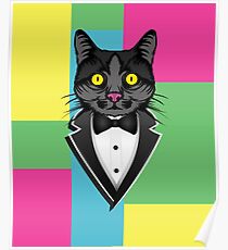 Cat in a tuxedo Poster
