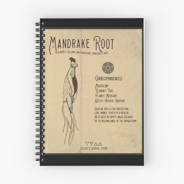 Item preview, Mandrake Root Magic Drawing Illustration designed and sold by JessupShop.