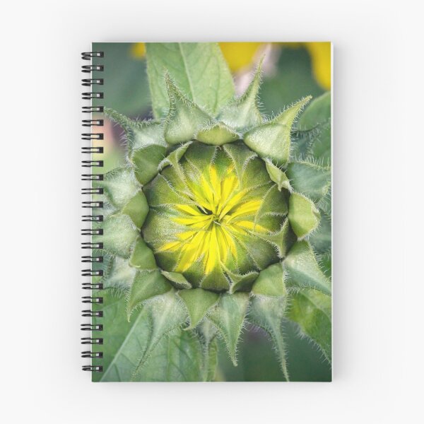 Item preview, Happy Sunflowers Helianthus Abstract X210 designed and sold by RichFrancoCars.