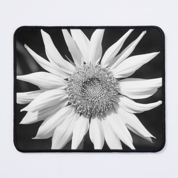 Item preview, Happy Sunflowers Helianthus Abstract X212 designed and sold by RichFrancoCars.