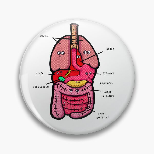 Item preview, Cute internal Organs labeled for teachers, kids designed and sold by Robobonez.