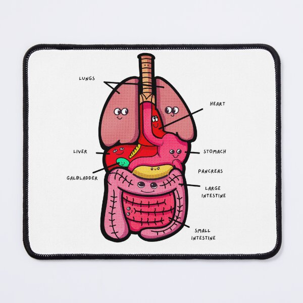 Item preview, Cute internal Organs labeled for teachers, kids designed and sold by Robobonez.