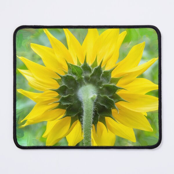 Item preview, Happy Sunflowers Helianthus Abstract X215 designed and sold by RichFrancoCars.