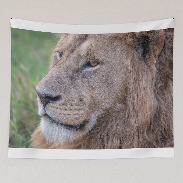 Item preview, Lion Portrait Tanzania Africa designed and sold by PhotoArt by Joan Carroll.
