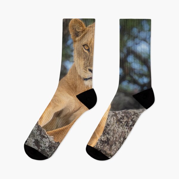 Item preview, León hembra en un árbol, Tanzania, África designed and sold by PhotoArt by Joan Carroll.