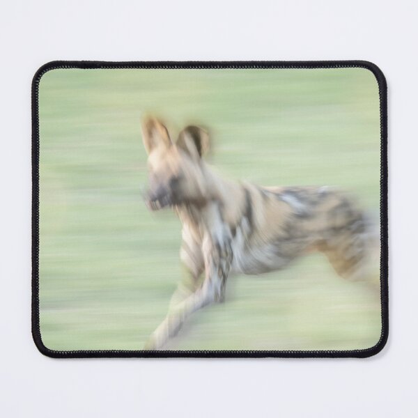 Item preview, Pan and Blur Painted Dog Botswana Africa designed and sold by PhotoArt by Joan Carroll.