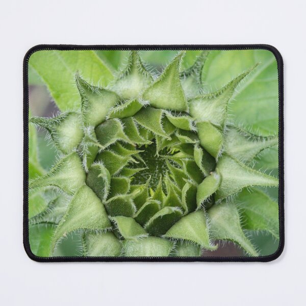 Item preview, Happy Sunflowers Helianthus Abstract X221 designed and sold by RichFrancoCars.