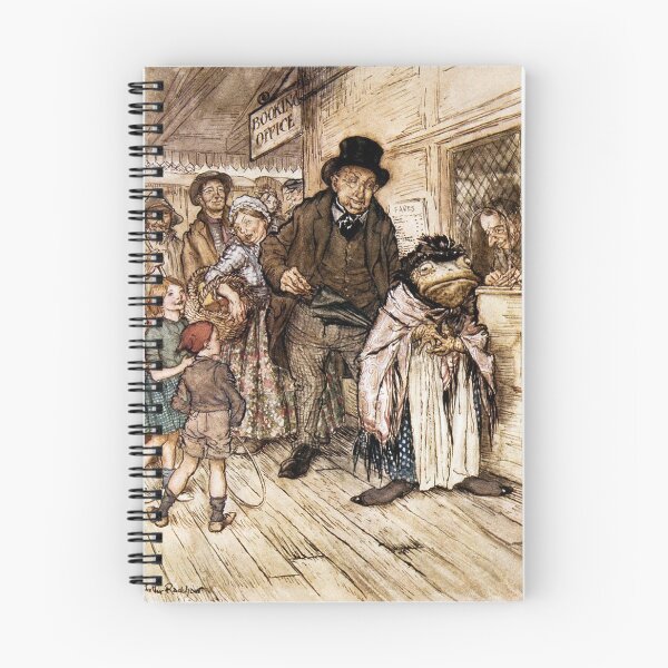 Item preview, Toad Dressed as the Washerwoman - The Wind in the Willows - Arthur Rackham designed and sold by forgottenbeauty.