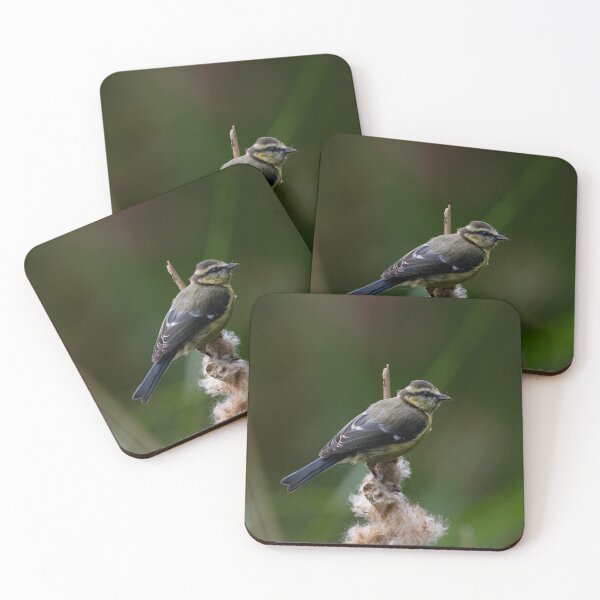 Item preview, Blue Tit - Pretty Bird designed and sold by Art-drawings-md.